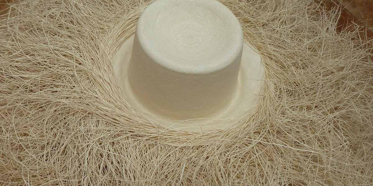 Panama hat sales cost